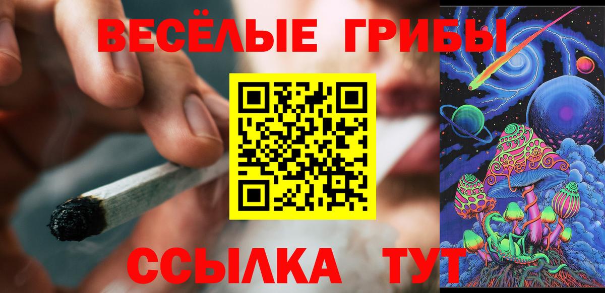 Петропавловск-Камчатский  Галлюциногенные грибы мицелий  Вход с VPN 